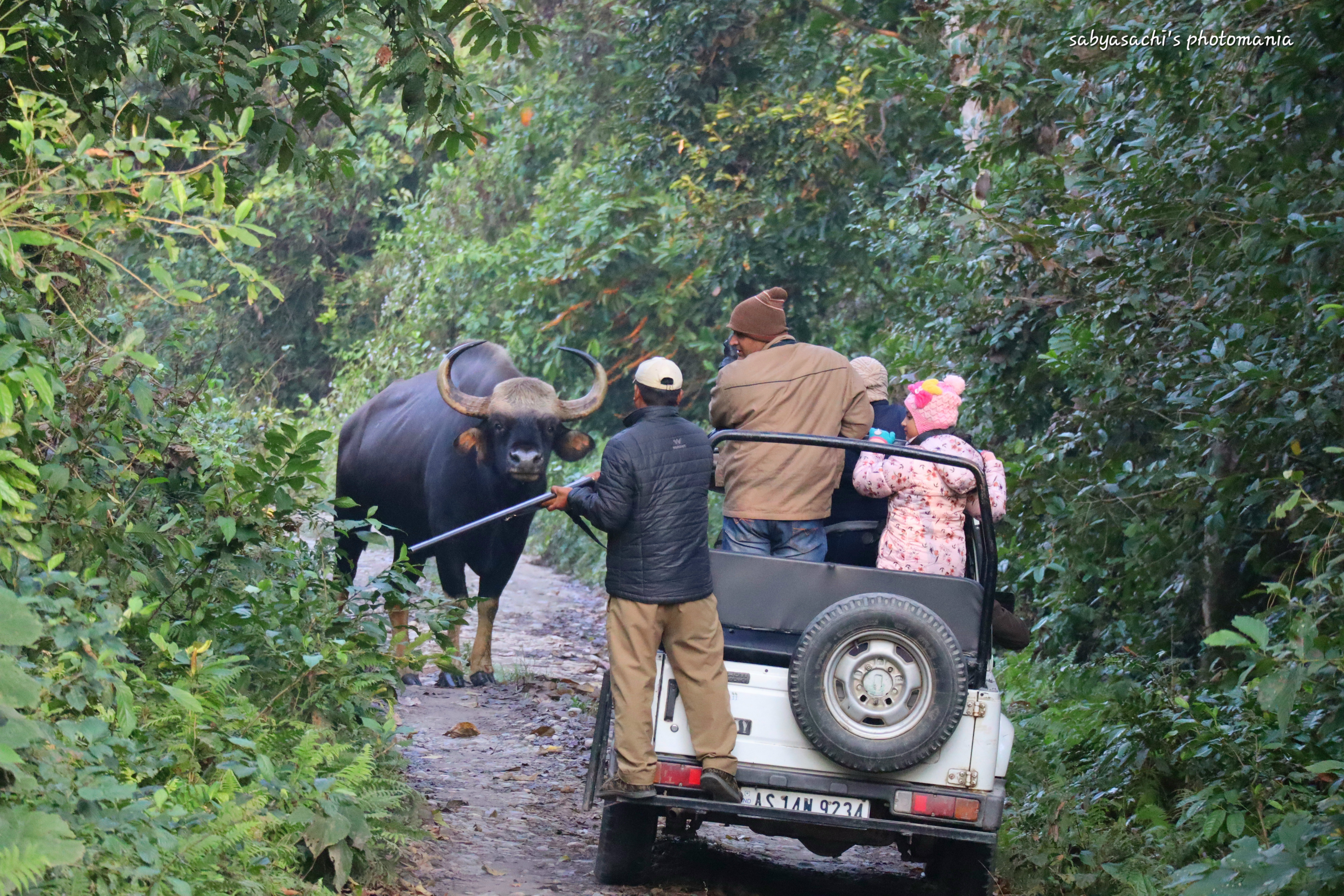 বিস্ময়পুর ভ্রমণ পত্রিকা