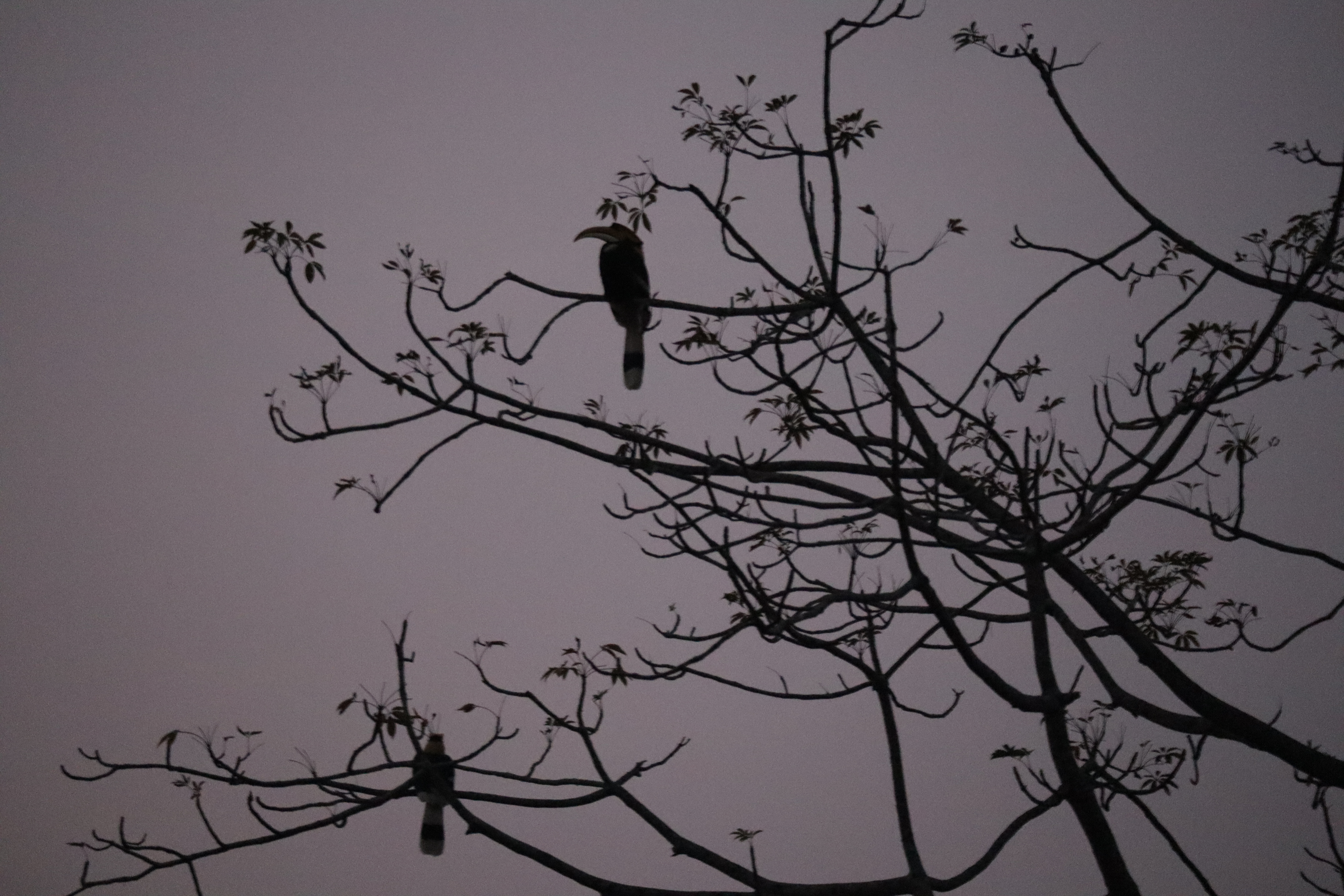 বিস্ময়পুর ভ্রমণ পত্রিকা