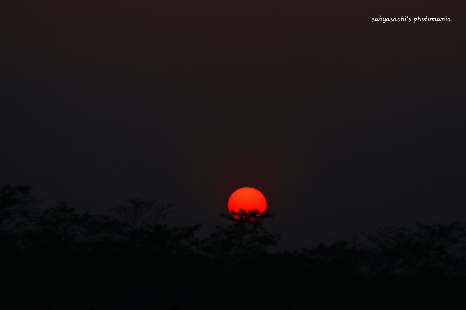 বিস্ময়পুর ভ্রমণ পত্রিকা