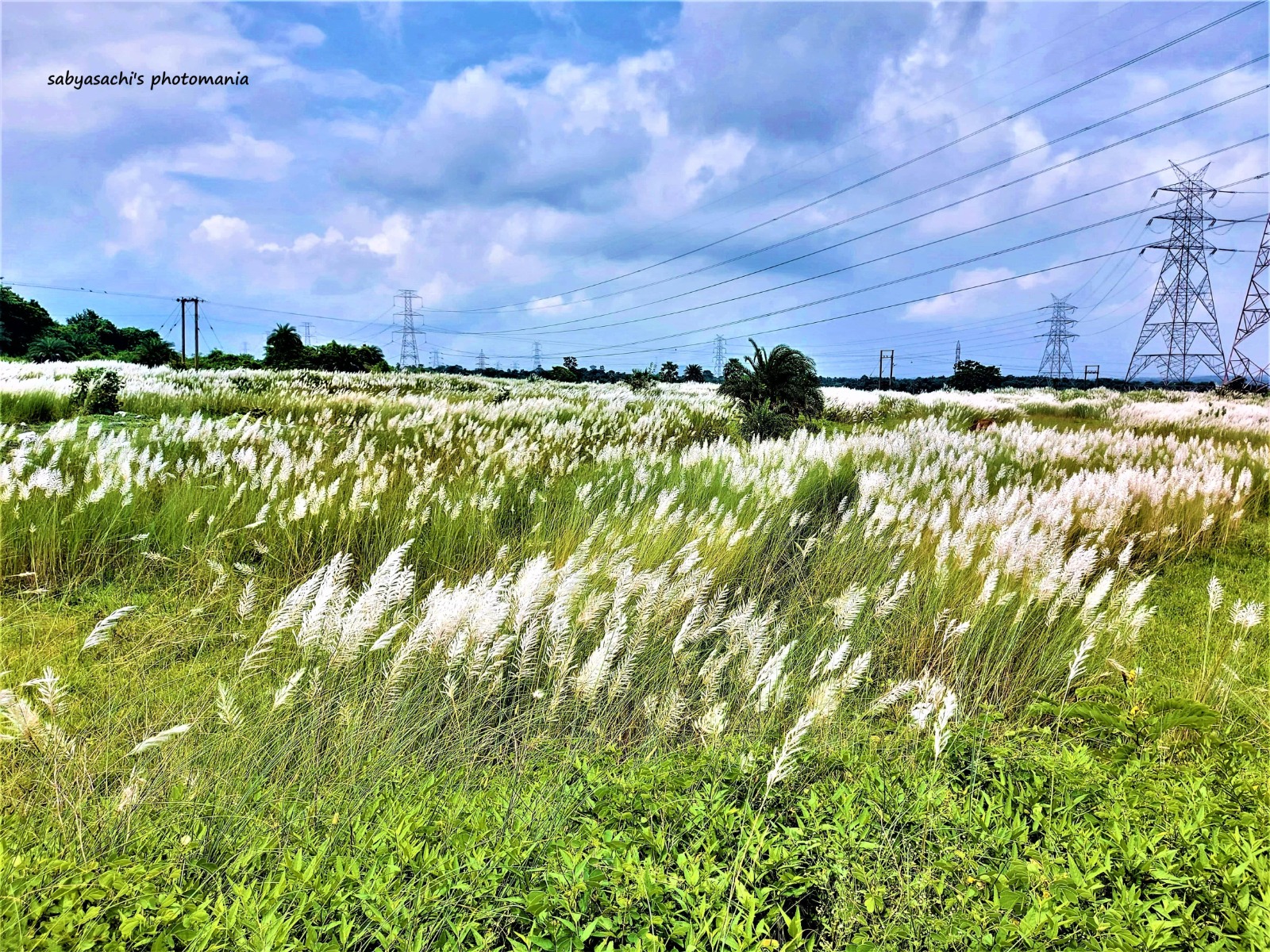 বিস্ময়পুর ভ্রমণ পত্রিকা