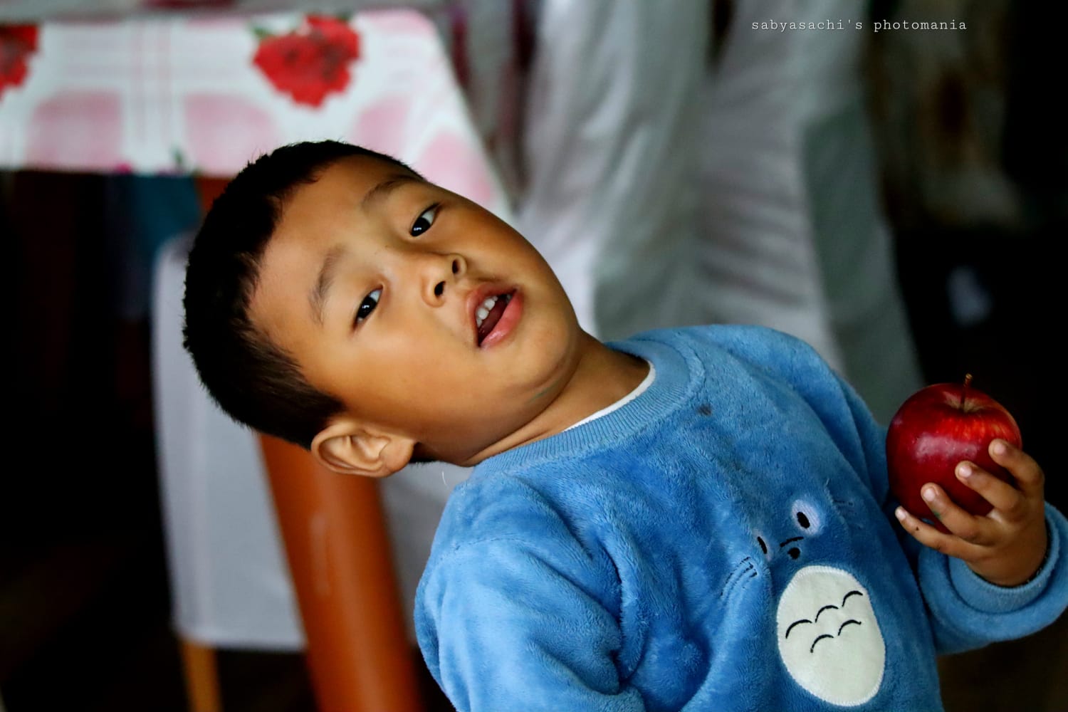 বিস্ময়পুর ভ্রমণ পত্রিকা
