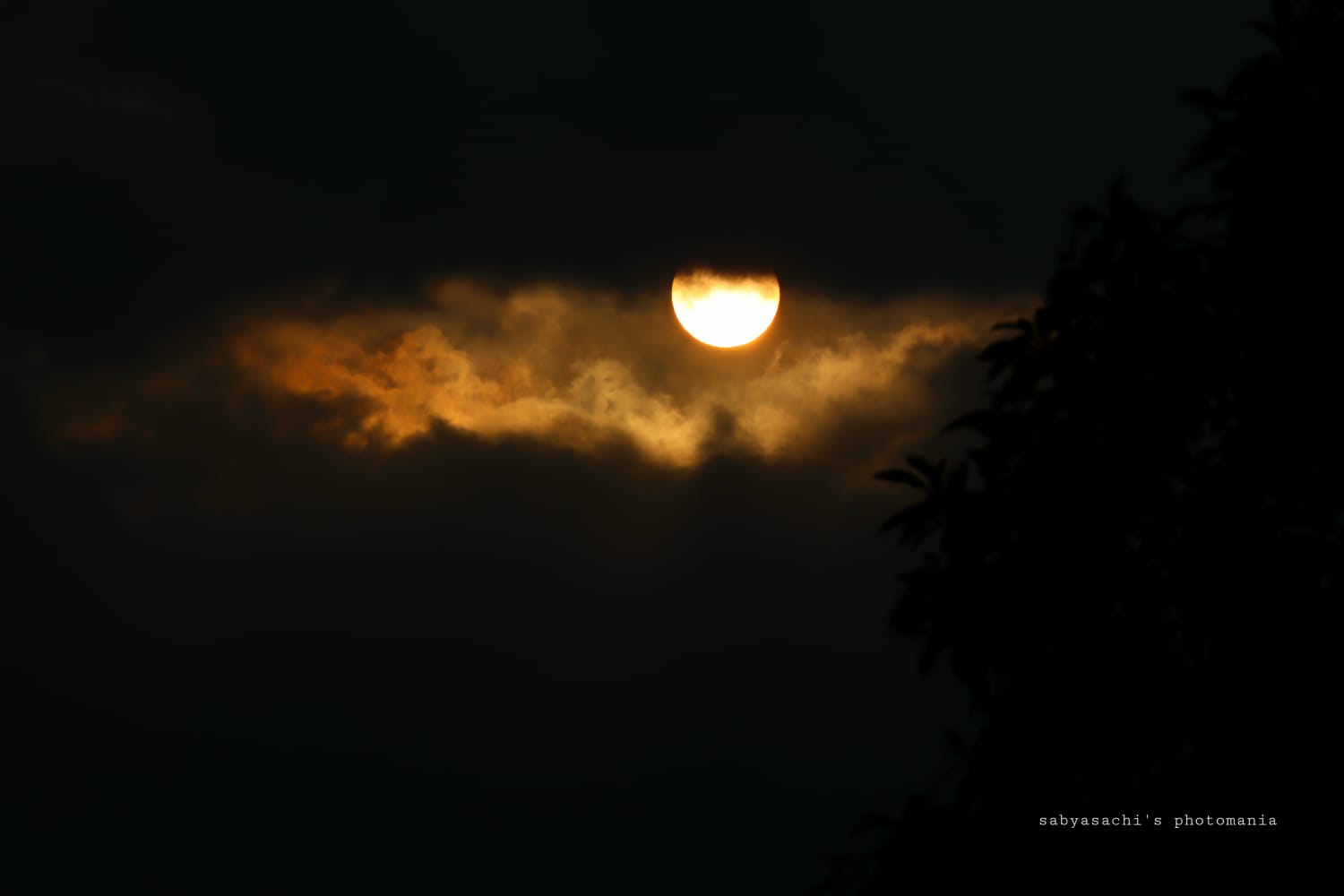 বিস্ময়পুর ভ্রমণ পত্রিকা