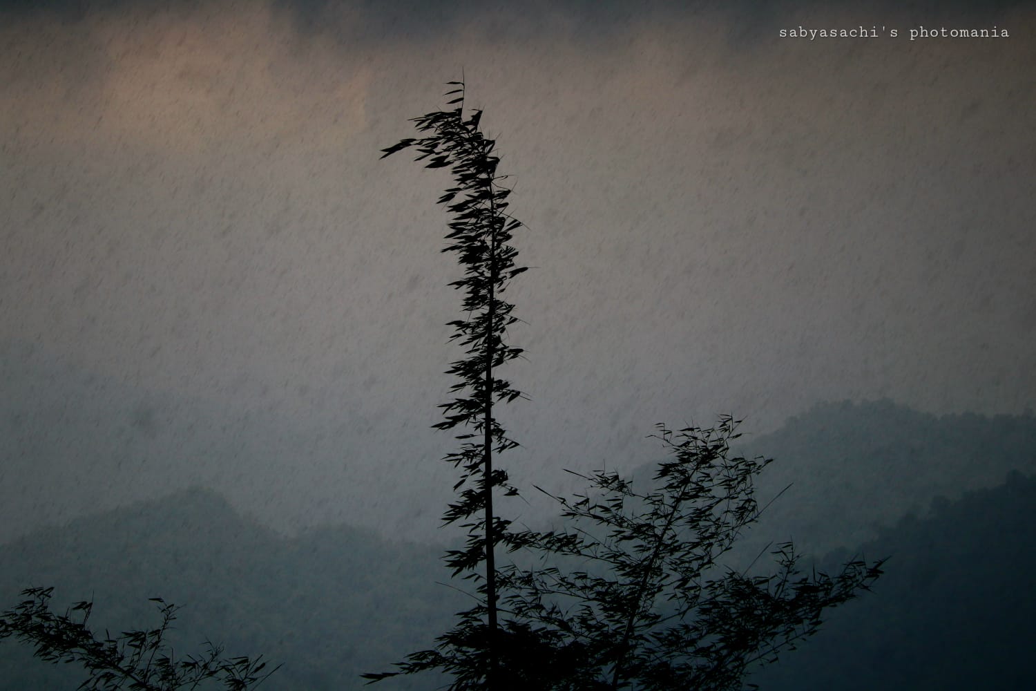 বিস্ময়পুর ভ্রমণ পত্রিকা