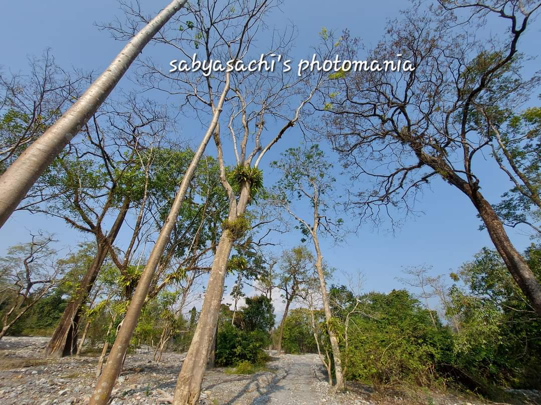 বিস্ময়পুর ভ্রমণ পত্রিকা