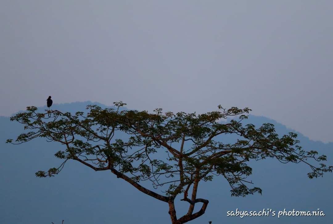 বিস্ময়পুর ভ্রমণ পত্রিকা