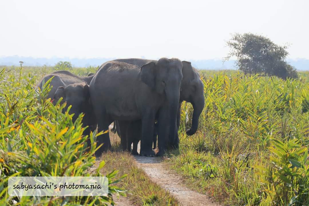 বিস্ময়পুর ভ্রমণ পত্রিকা