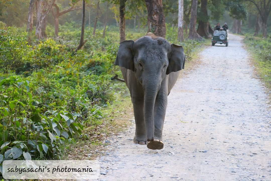 বিস্ময়পুর ভ্রমণ পত্রিকা