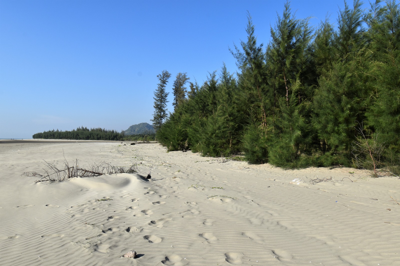 বিস্ময়পুর ভ্রমণ পত্রিকা