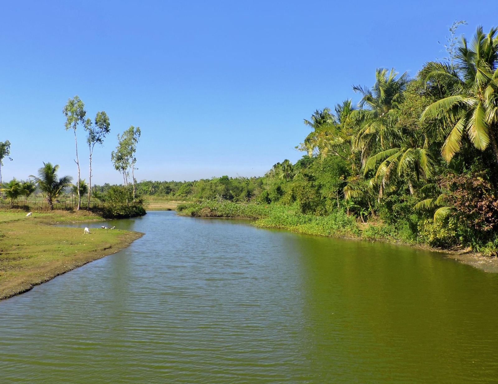 বিস্ময়পুর ভ্রমণ পত্রিকা