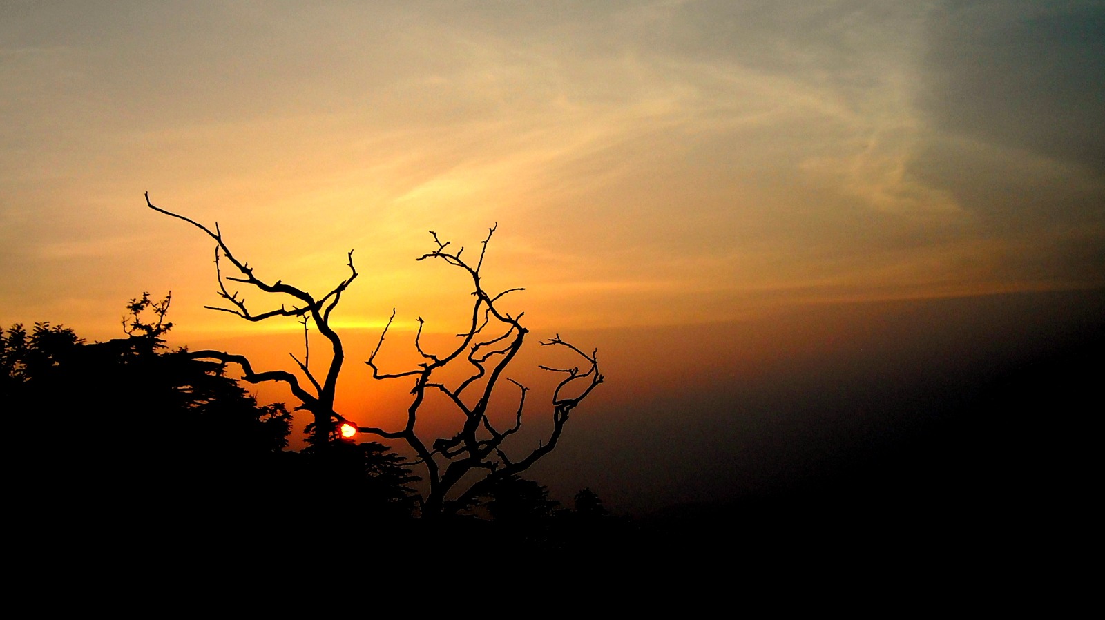 বিস্ময়পুর ভ্রমণ পত্রিকা