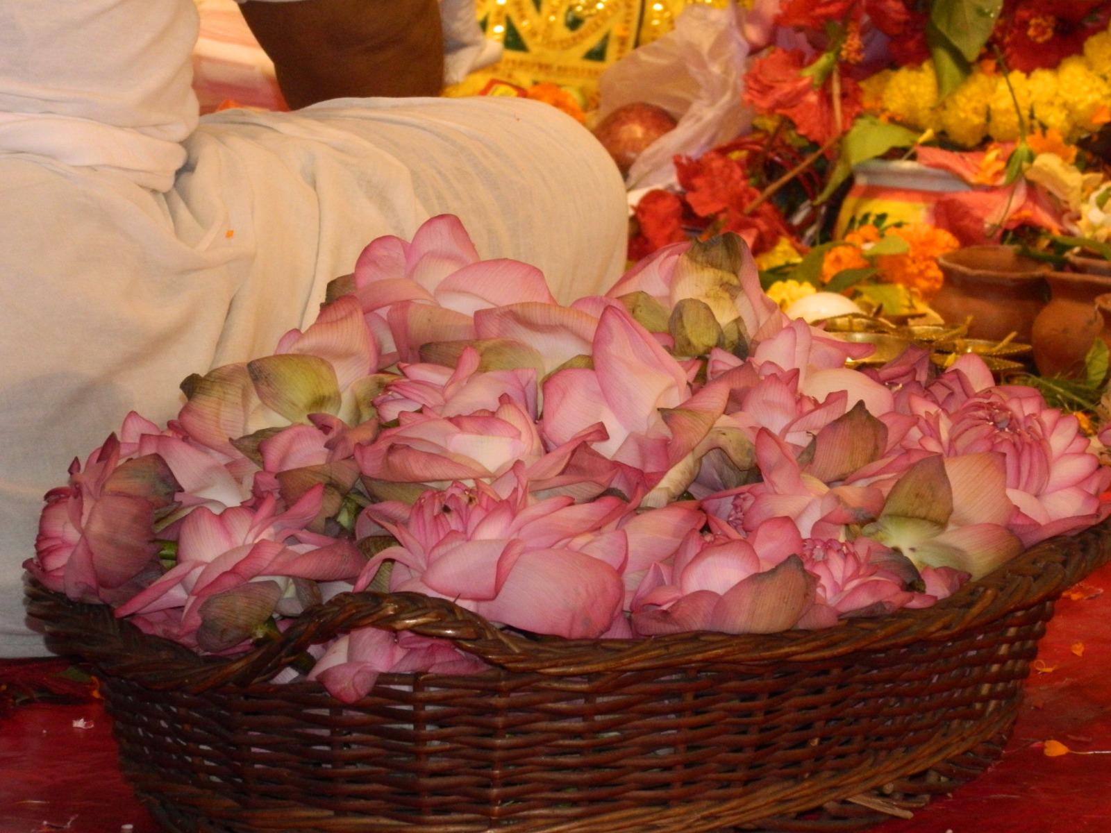 বিস্ময়পুর ভ্রমণ পত্রিকা