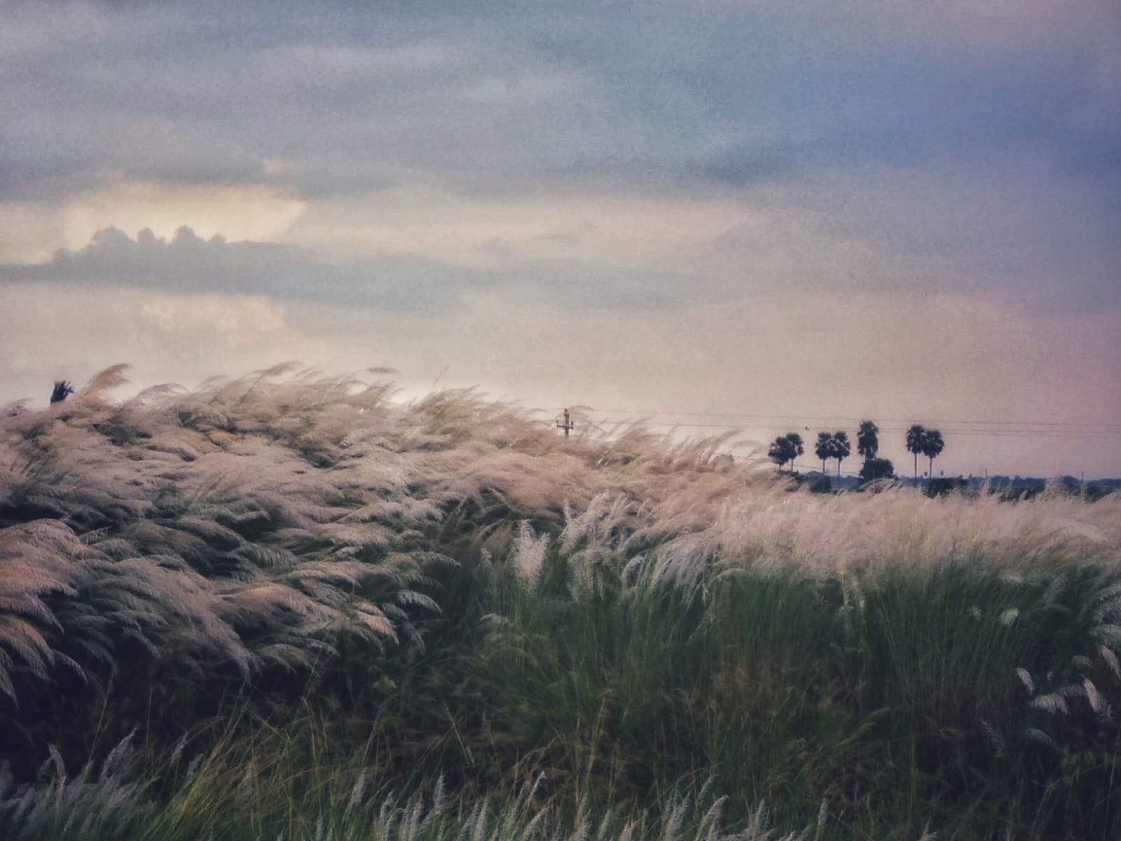 বিস্ময়পুর ভ্রমণ পত্রিকা