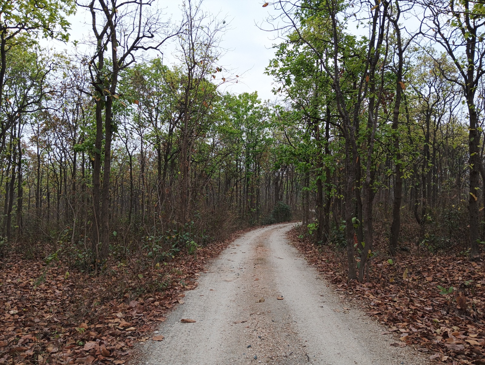 বিস্ময়পুর ভ্রমণ পত্রিকা