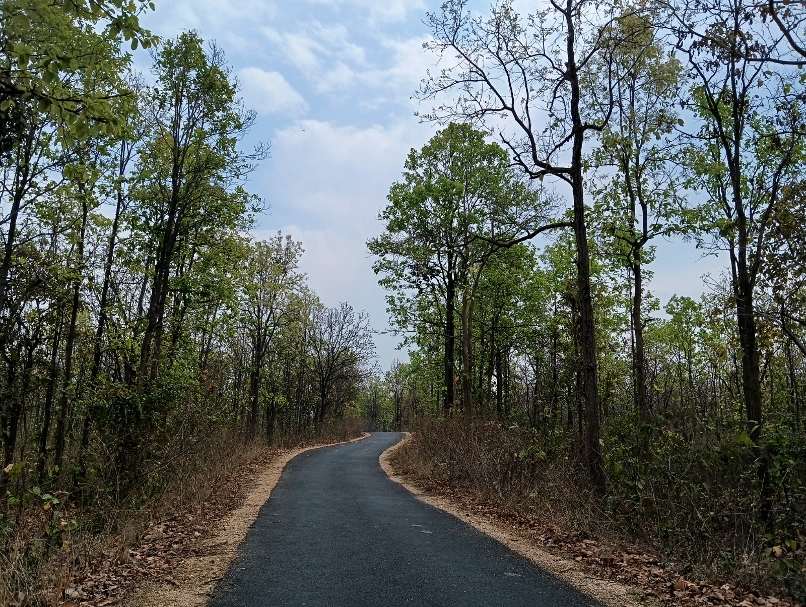 বিস্ময়পুর ভ্রমণ পত্রিকা