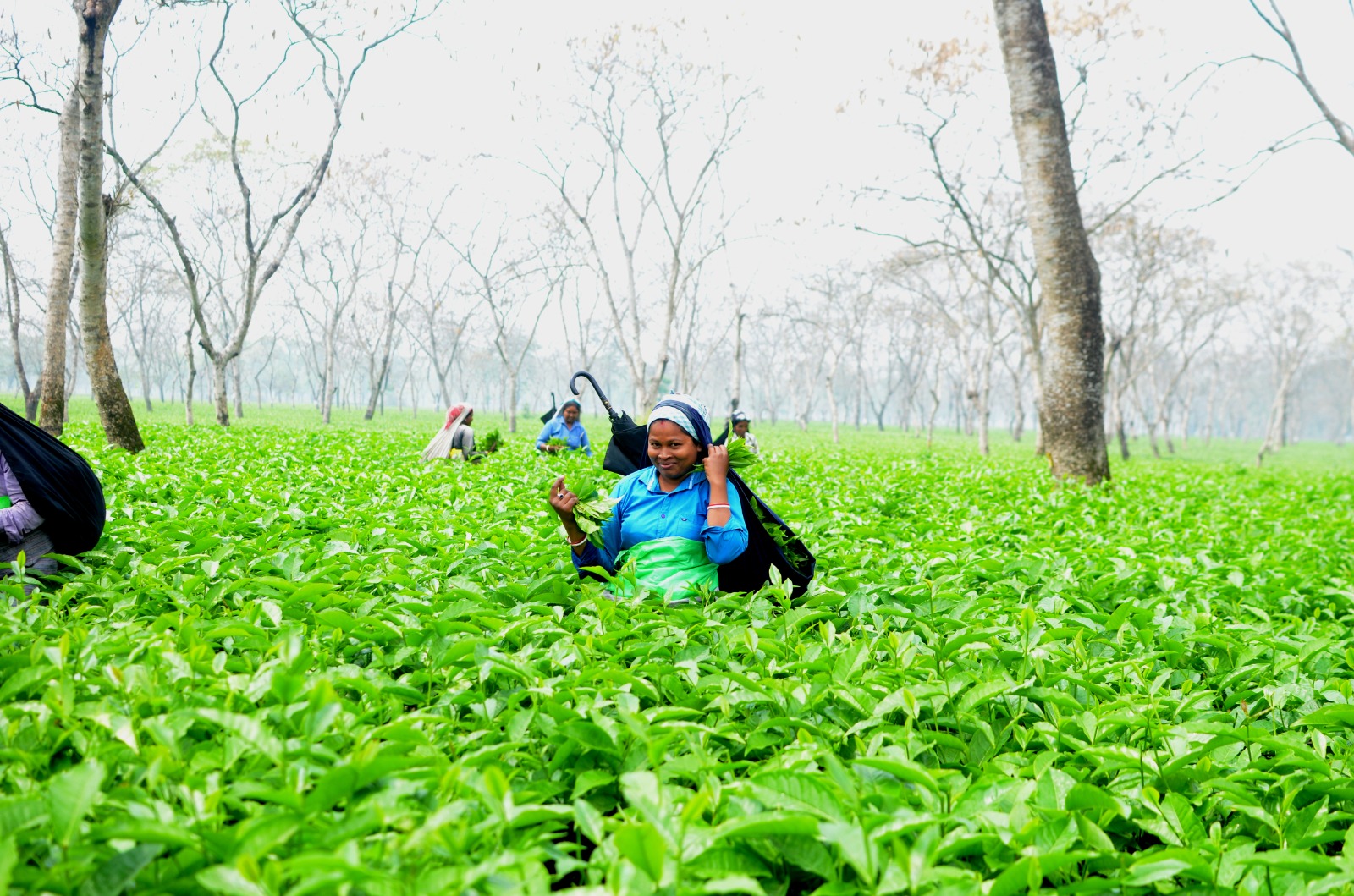 বিস্ময়পুর ভ্রমণ পত্রিকা