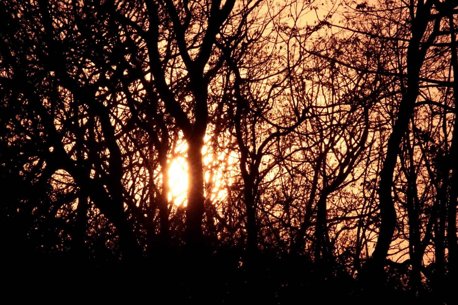 বিস্ময়পুর ভ্রমণ পত্রিকা