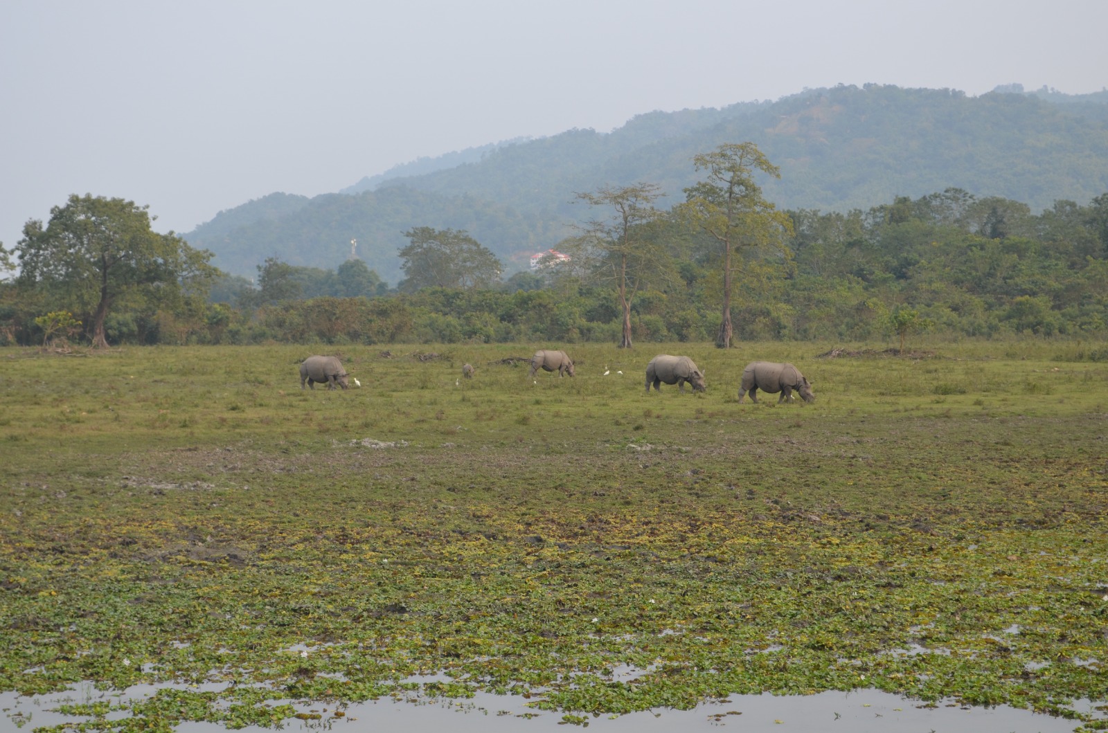 বিস্ময়পুর ভ্রমণ পত্রিকা