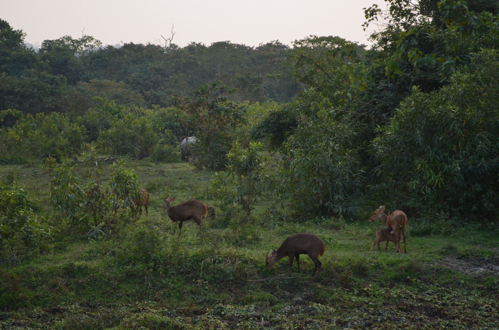 বিস্ময়পুর ভ্রমণ পত্রিকা