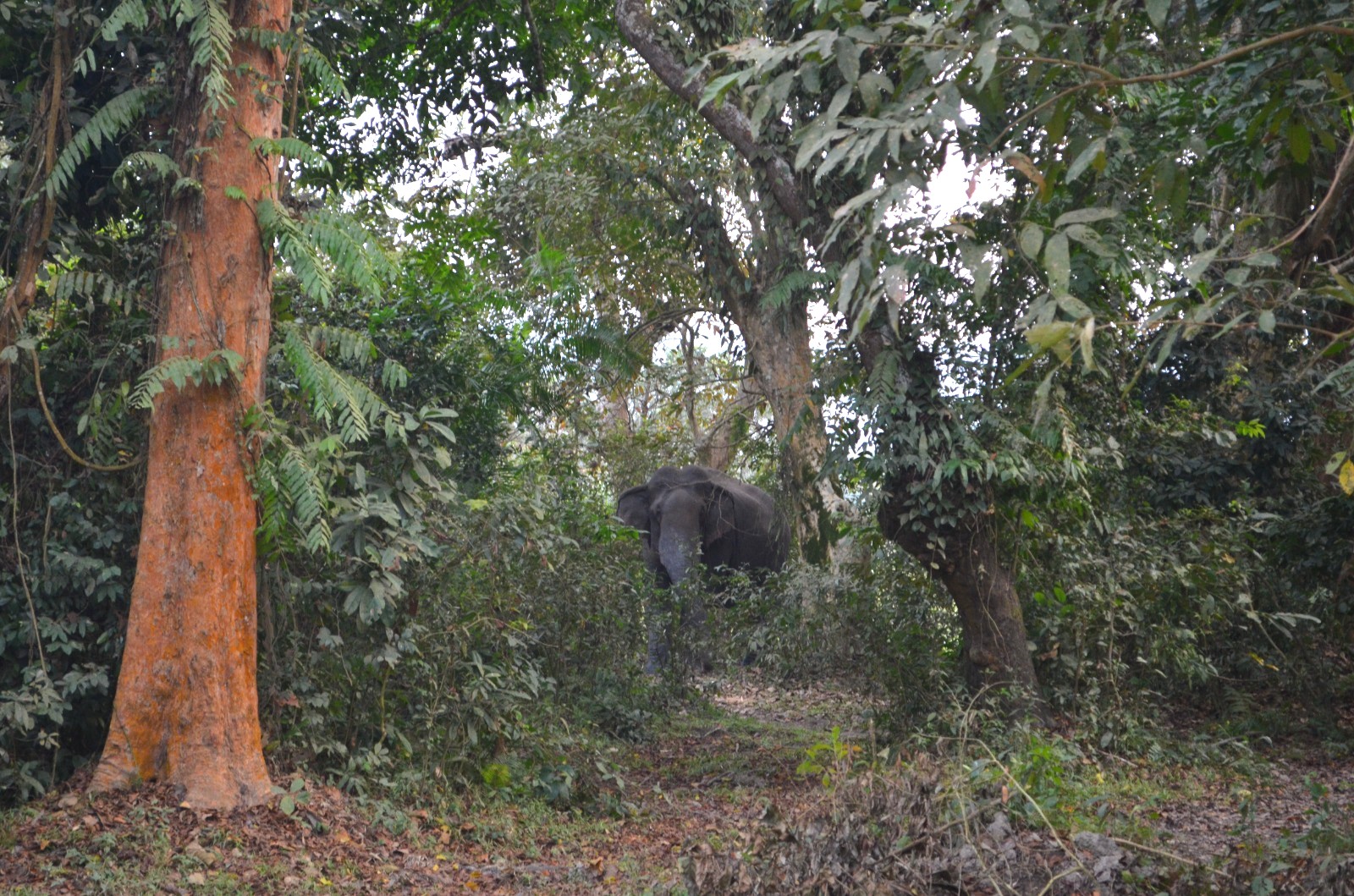 বিস্ময়পুর ভ্রমণ পত্রিকা