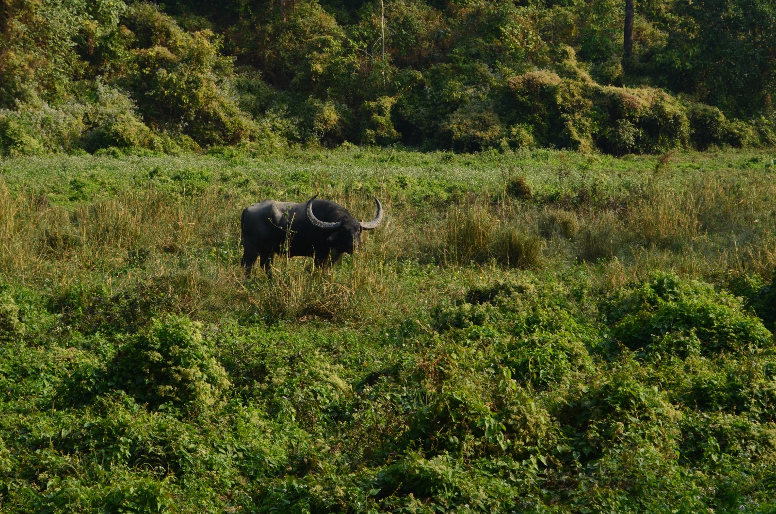 বিস্ময়পুর ভ্রমণ পত্রিকা